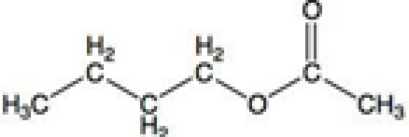 N-Butyl Acetate